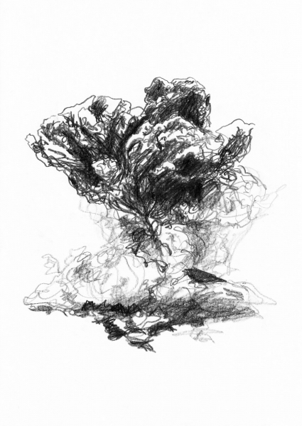 http://www.tiphainebuisson.com/files/gimgs/48_6explosions-copie.jpg