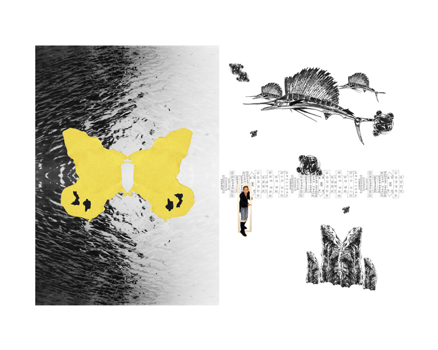 http://www.tiphainebuisson.com/files/gimgs/50_b16fevrier4.jpg