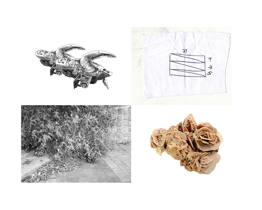 http://www.tiphainebuisson.com/files/gimgs/50_brosetortues.jpg
