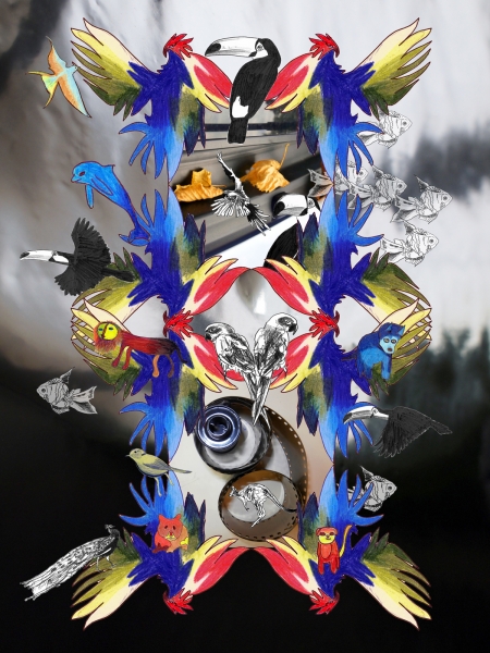 http://www.tiphainebuisson.com/files/gimgs/53_bdfonda-copie.jpg