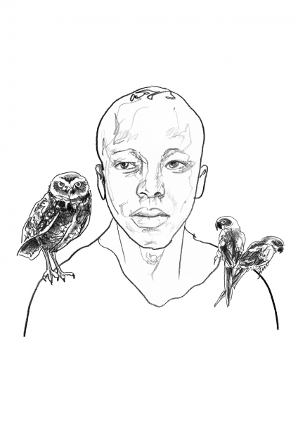 http://www.tiphainebuisson.com/files/gimgs/53_bdjumeaux-copie.jpg