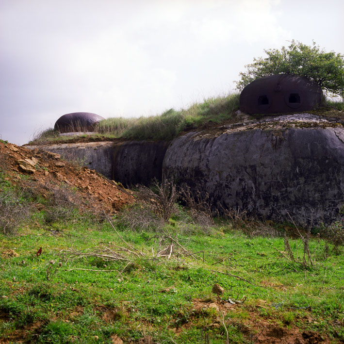 http://www.tiphainebuisson.com/files/gimgs/59_bdtiphainebuisson-laurent02.jpg