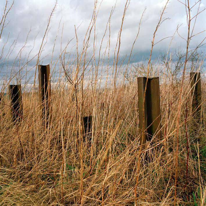 http://www.tiphainebuisson.com/files/gimgs/59_bdtiphainebuisson-laurent04.jpg