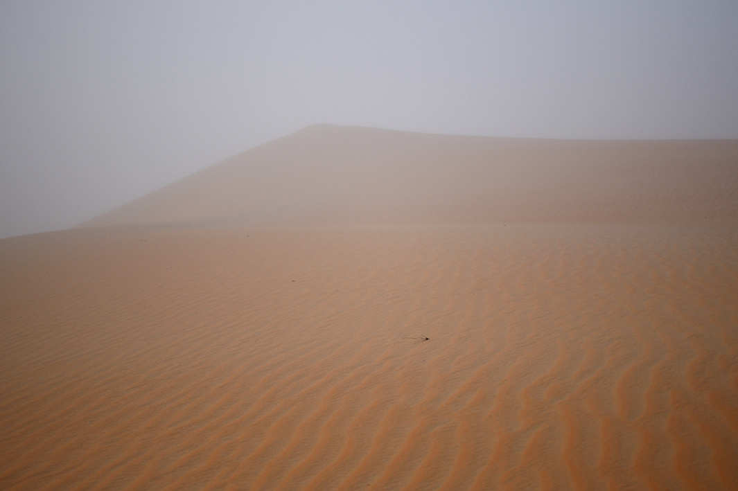 http://www.tiphainebuisson.com/files/gimgs/61_bdtiphainebuisson-desert-brume-copie.jpg